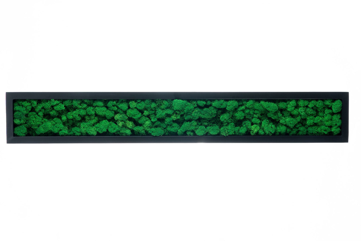 Dyp svart ramme med gressgrønn mose innvendig
