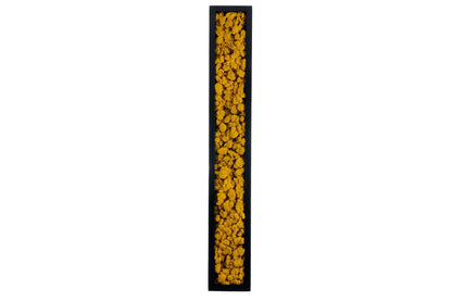 Dyp sort ramme med høstgul mose innvendig. 15x100 cm 