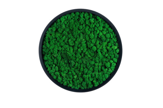 Dyp sort sirkelramme med gressgrønn mose innvendig.